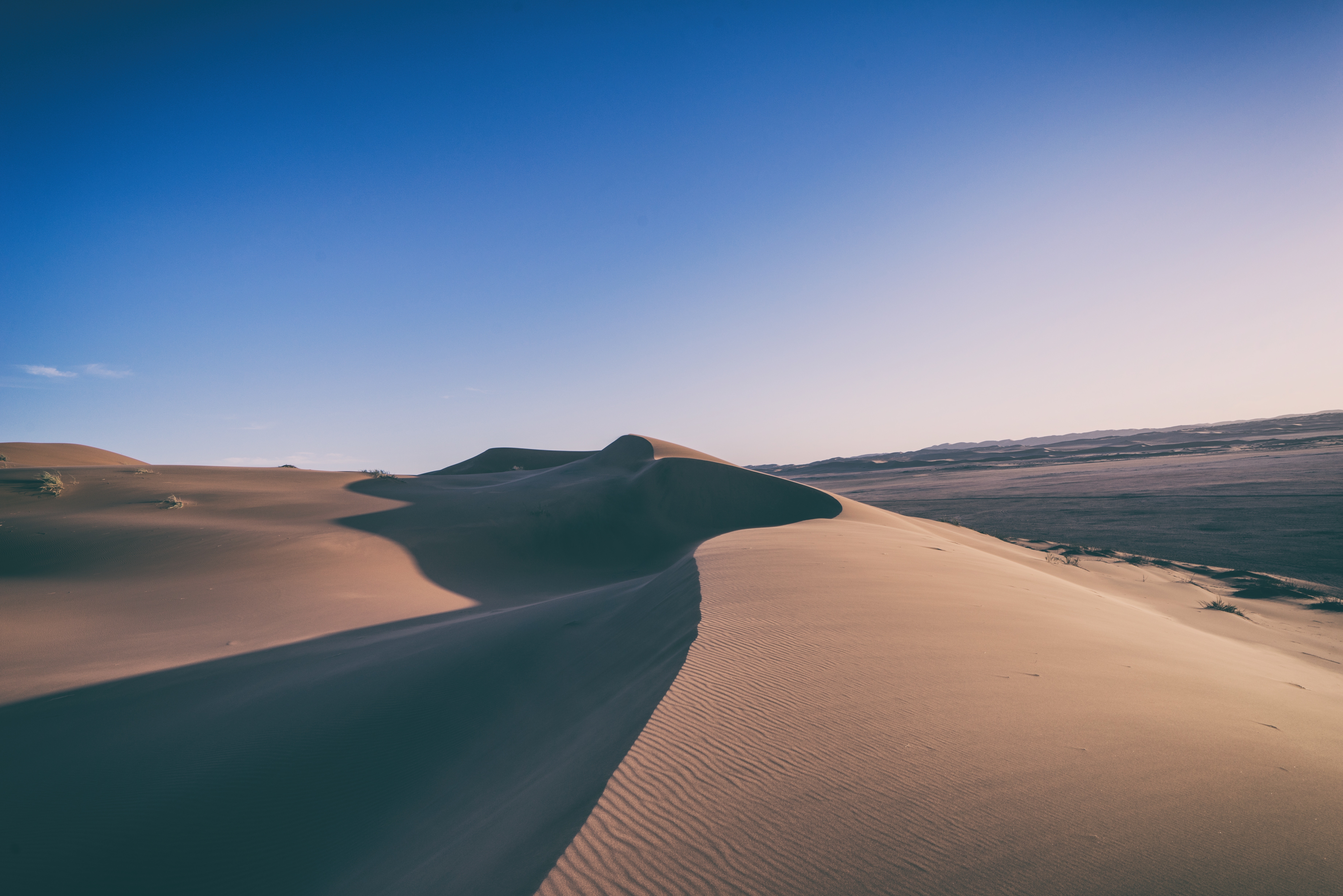 Desert landscape 