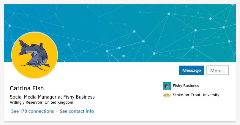 Catrina Fish LinkedIn Profile