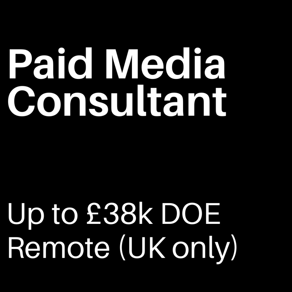 paid media consultant
